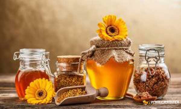 Продукты пчеловодства для повышения иммунитета что полезнее всего