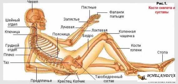 Лечение суставов в домашних условиях